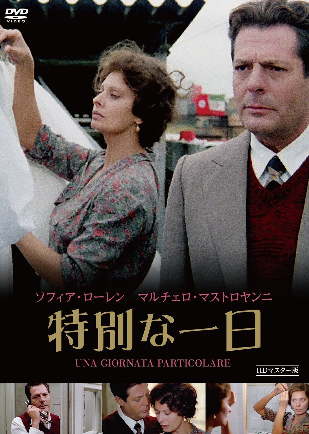 特別な一日 HDマスター版 [DVD]