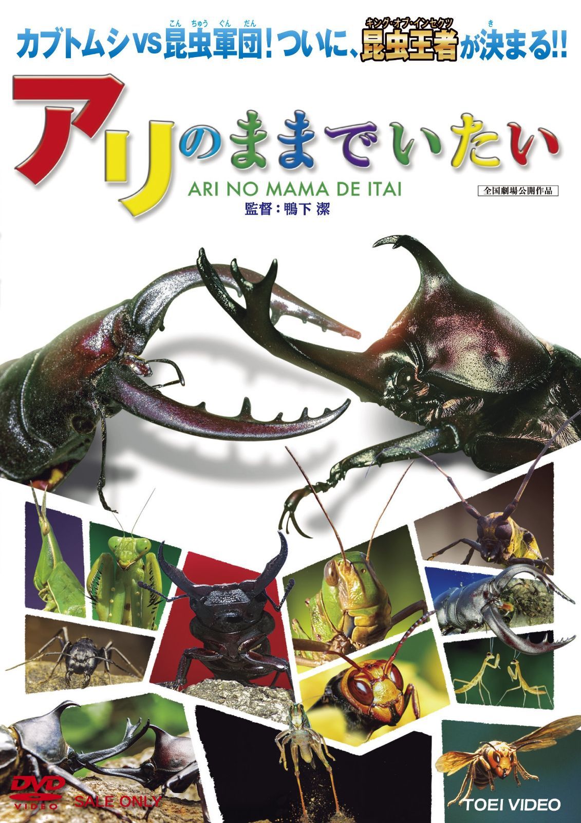 アリのままでいたい [DVD]