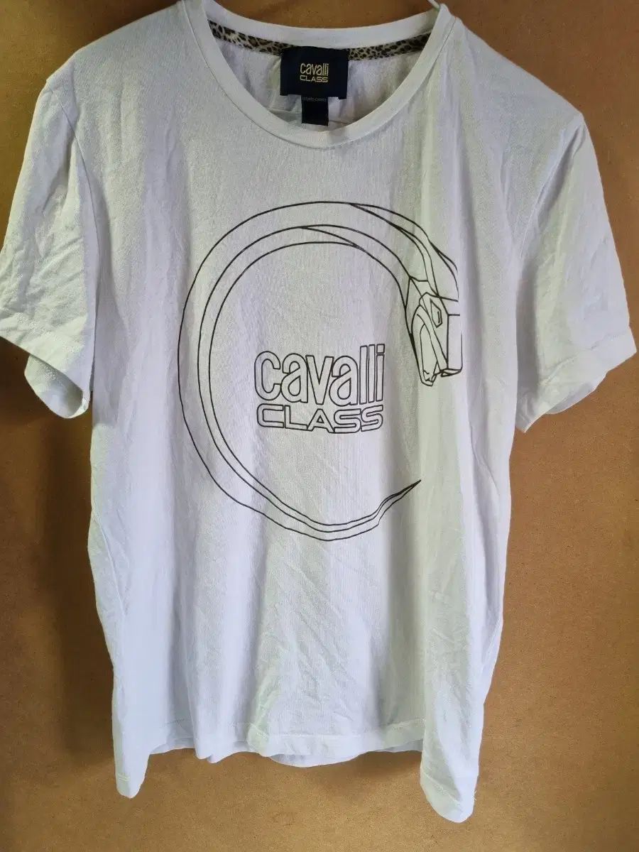 ロベルト カヴァリ メンズ 半袖Tシャツ