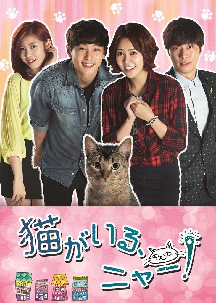 猫がいる、ニャー! DVD BOX II