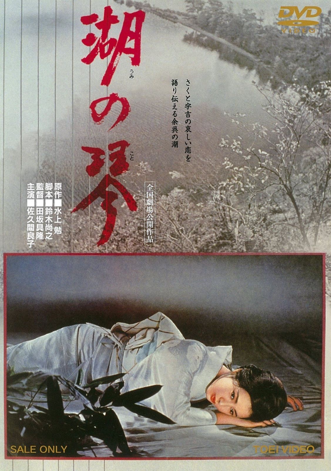 湖の琴 [DVD]