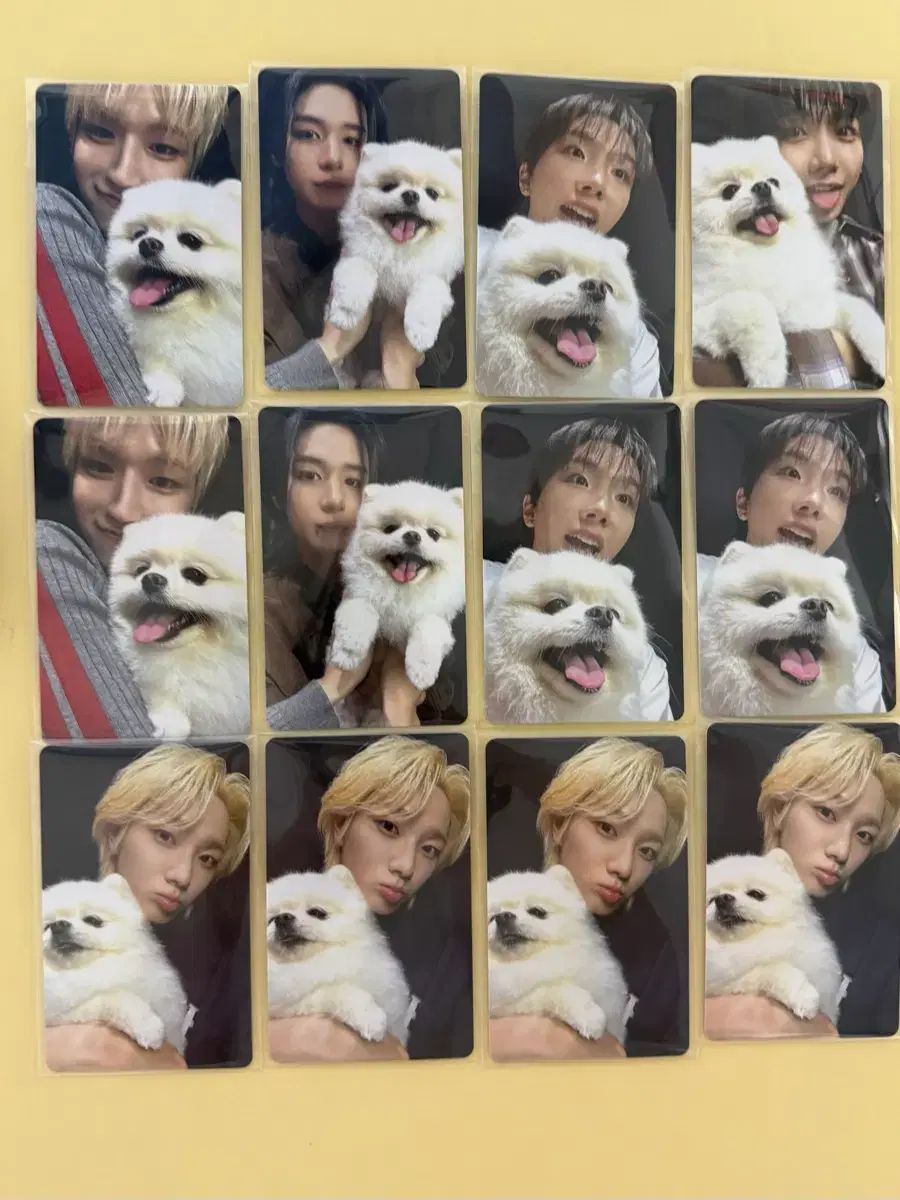 BOYNEXTDOOR(ボイネク) HOME アルバム トレカ WEVERSE ウィバース 特典 出品