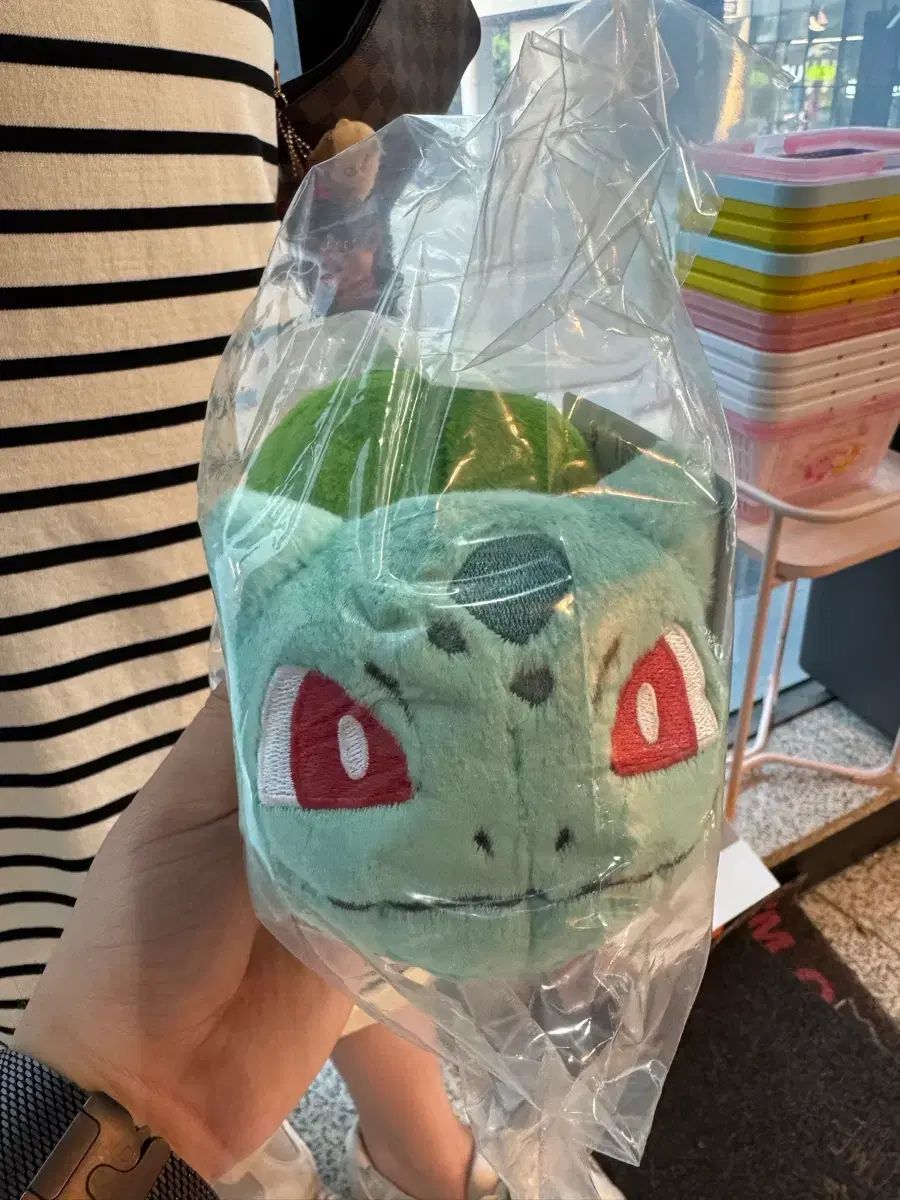 ポケットモンスター 30周年 一番くじ C賞 フシギダネ