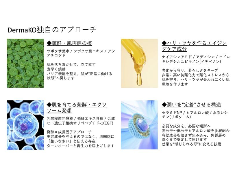 DermaKO ダーマコ プレミアムリポソームクリーム オールインワン 50ml 1個 韓国スキンケア プレミアムライン 高保湿 美容クリーム フェイスクリーム エイジングケア