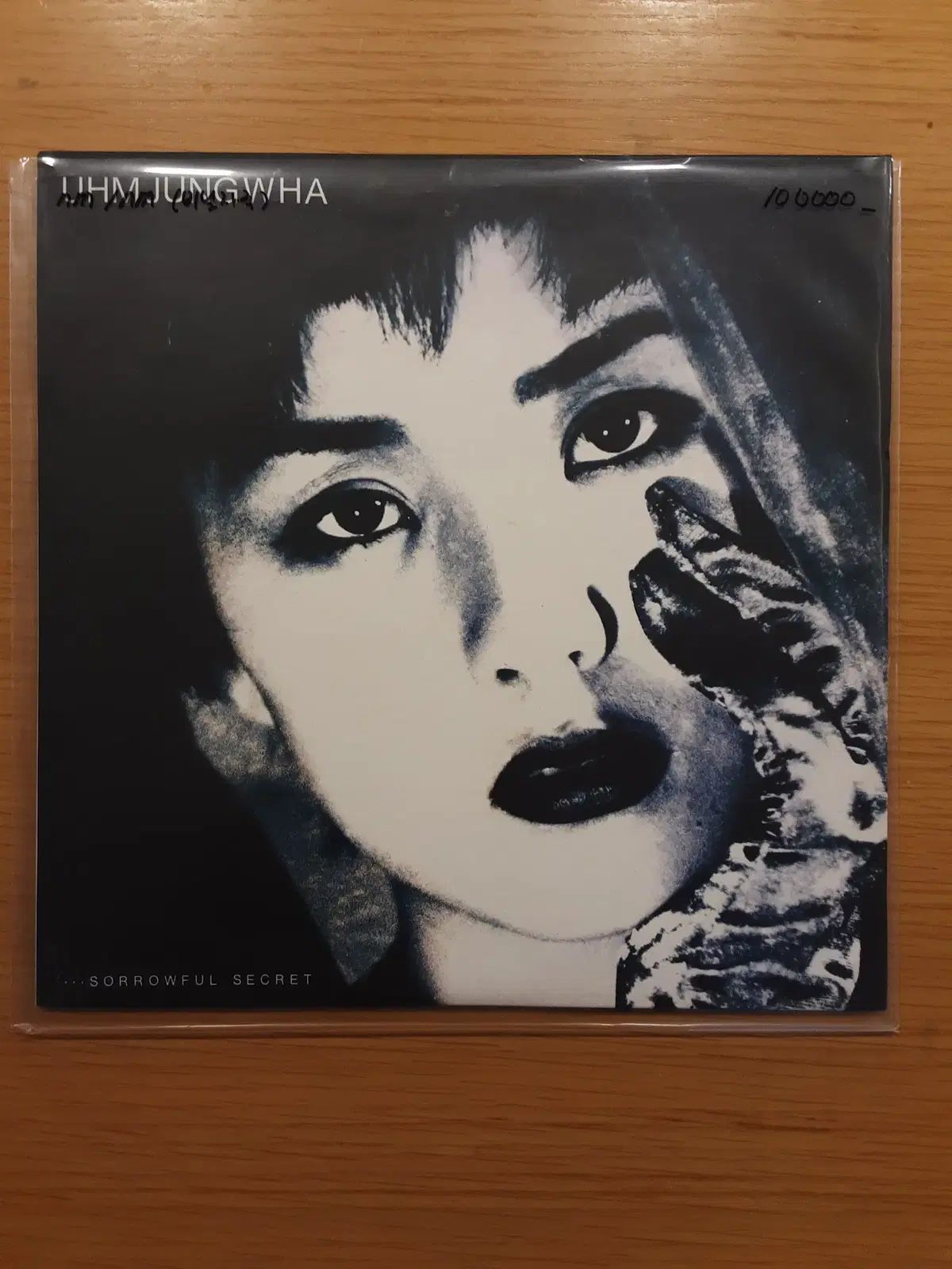 アム・ジョンファ 1 家 ー Sorrowful Secert