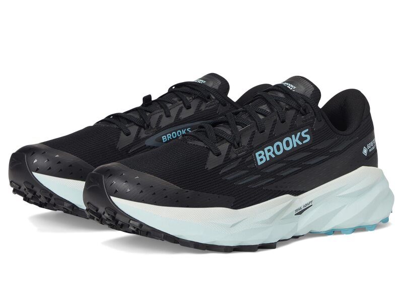 ブルックス レディース シューズ スニーカー Brooks Cascadia 19 GTXR BlackEbonyBlu ブラック