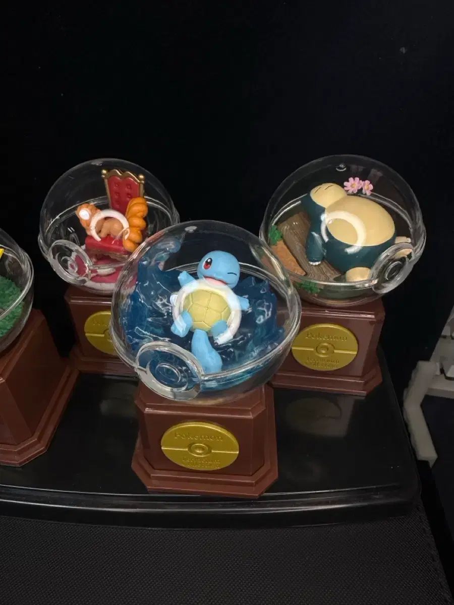 ポケットモンスター リーメント 10周年 テラリウム