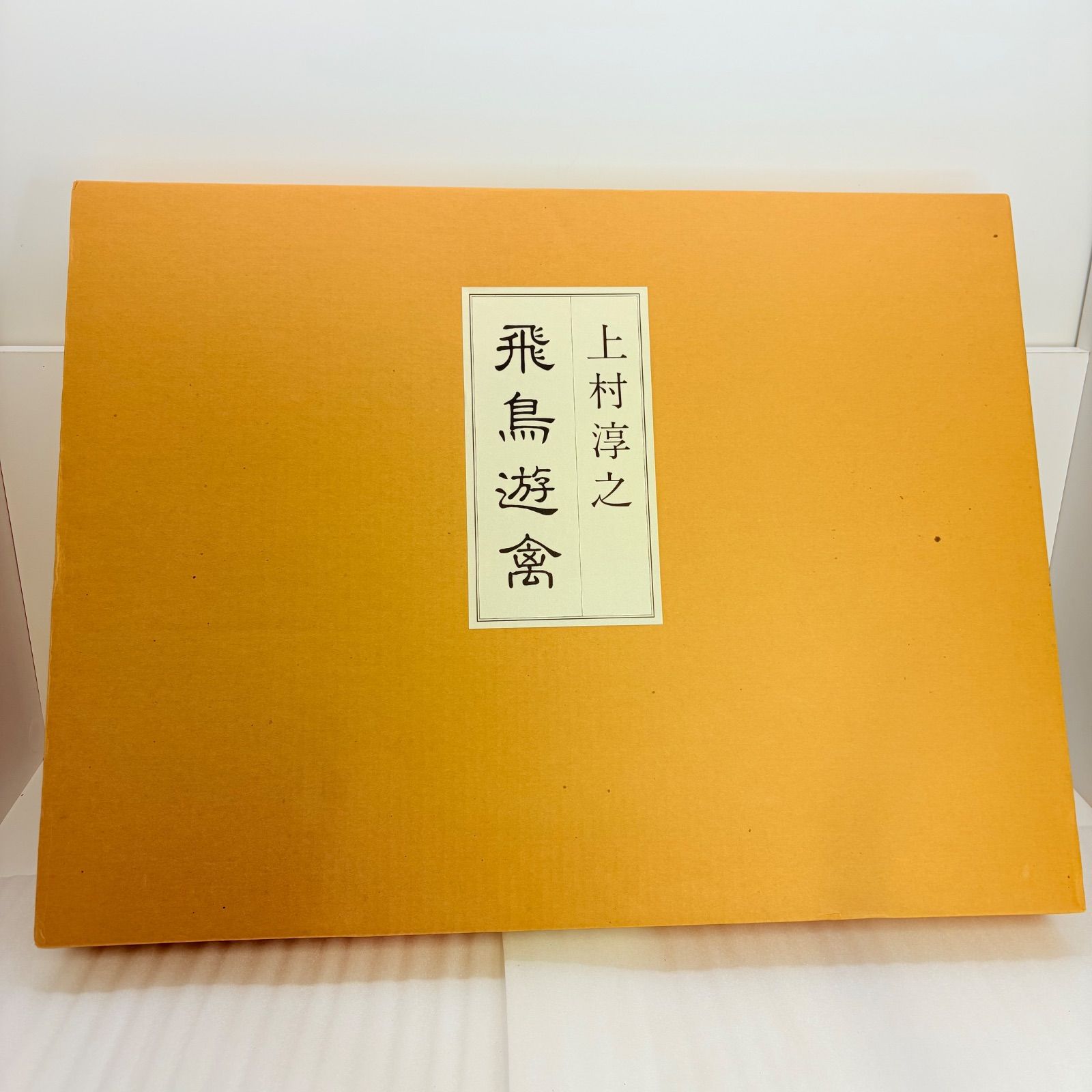 上村淳之 自選素描集 飛鳥遊禽 日本経済新聞社 定価42000円 大型画集 鳥類画 ?
