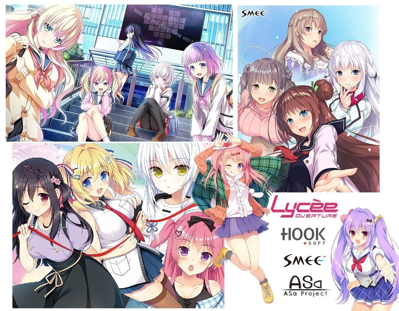 【特価商品】リセ オーバーチュア Ver.HOOKSOFT&SMEE&ASa Project ブースターパック BOX