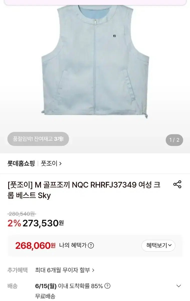 FootJoy M ゴルフ ベスト レディース クロム ベスト Sky
