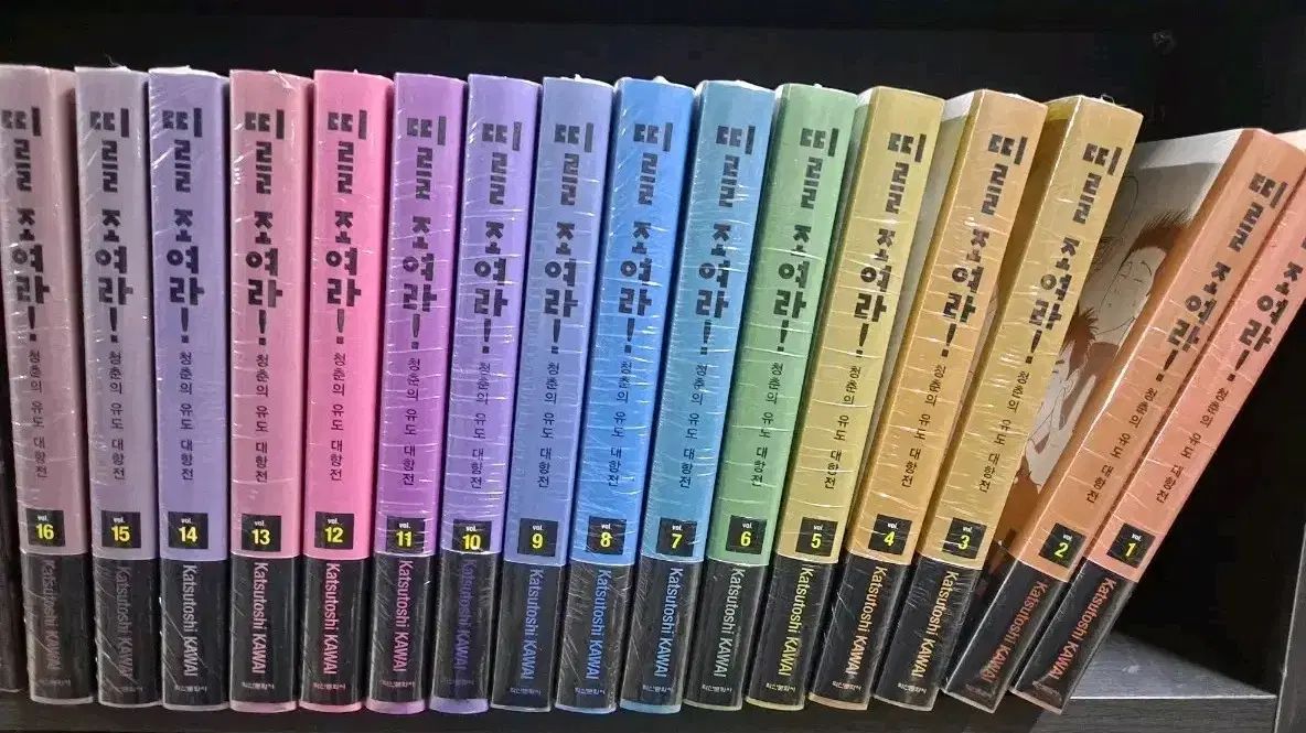 別々 レディース 全巻 