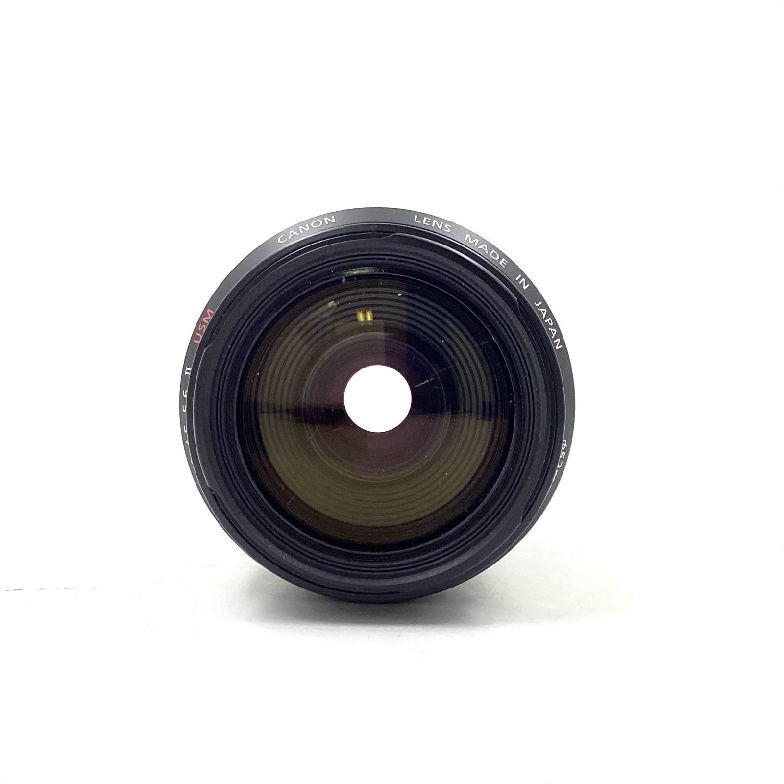 全額返金保証】【最速発送】Canon EF55-200mm F4.5-5.6 II 動作確認済 