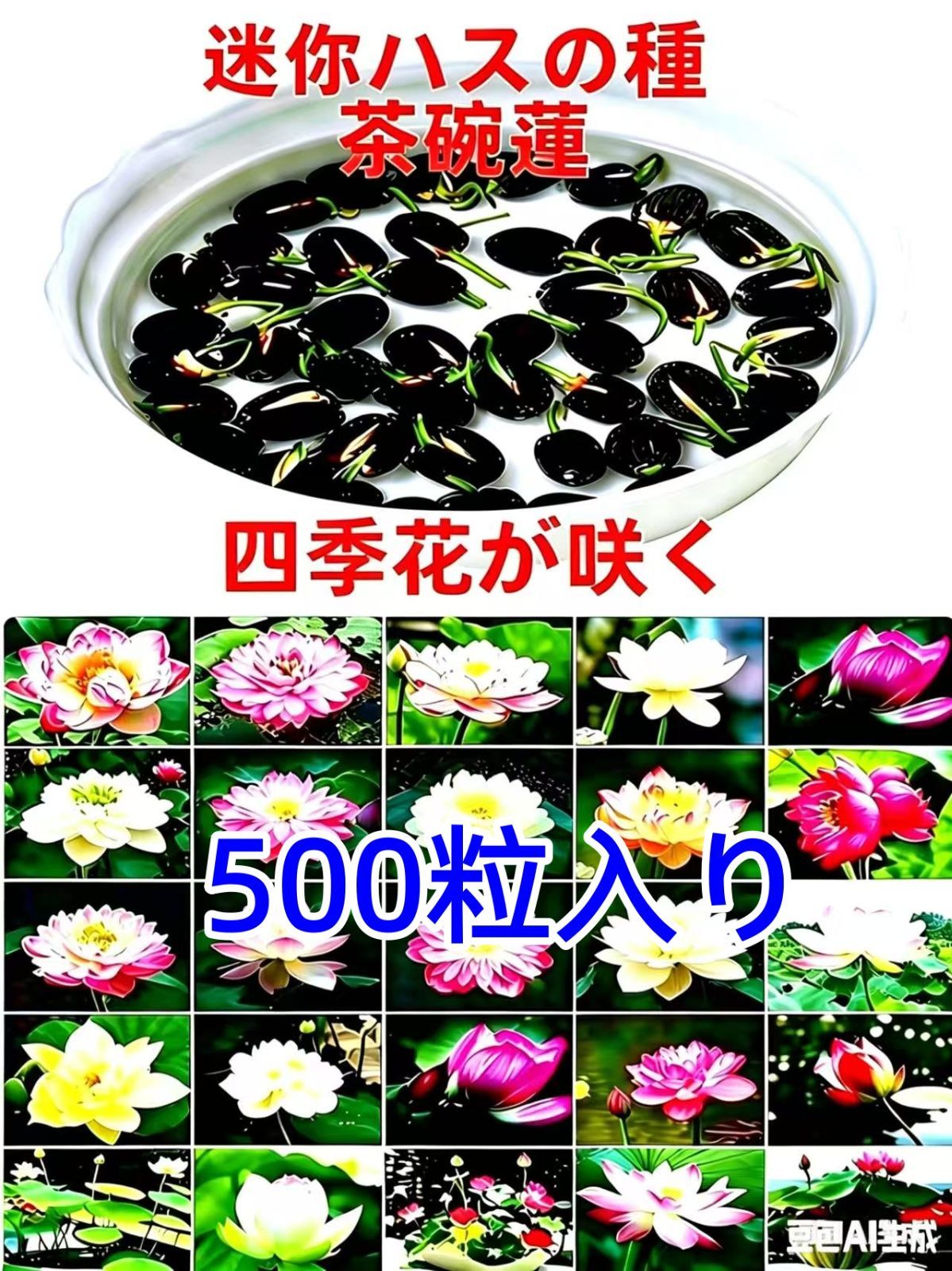 ミニハスの種　茶碗蓮　ハスの種　蓮の種　屋内外植付け可能　お得な値段設定 厳選大粒　ミニ蓮の種　粒数：500粒入り