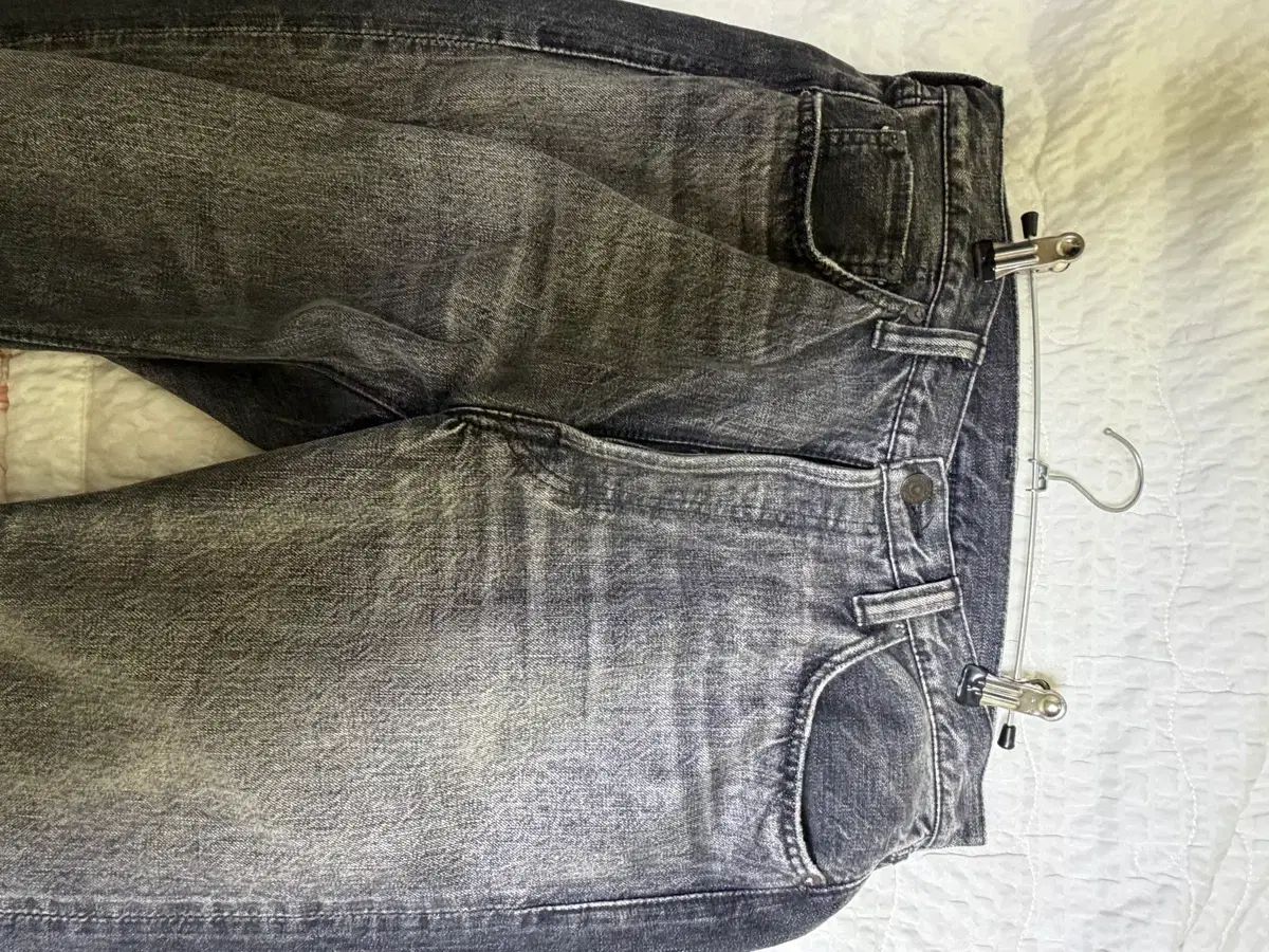 ダートフォードbk 0105 31 1着