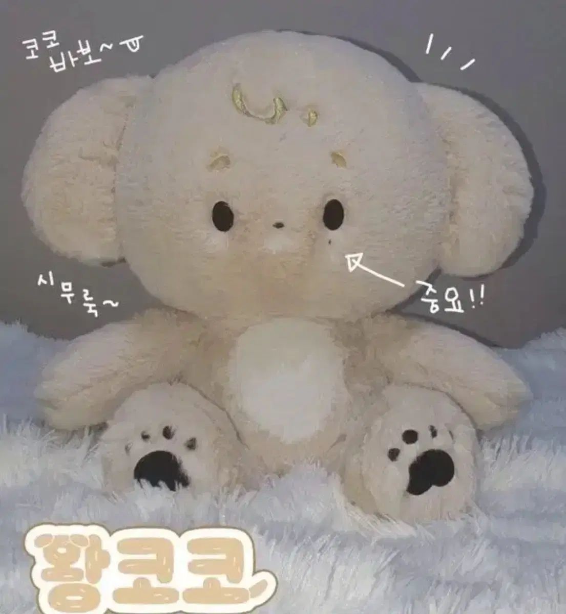 SEVENTEEN ドギョム 40cm ぬいぐるみ 王九井 一 配送料込み