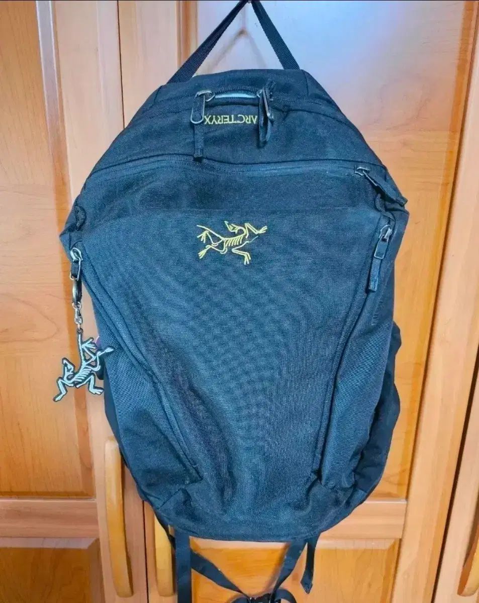 ARC'TERYX アークテリクス メンティス26