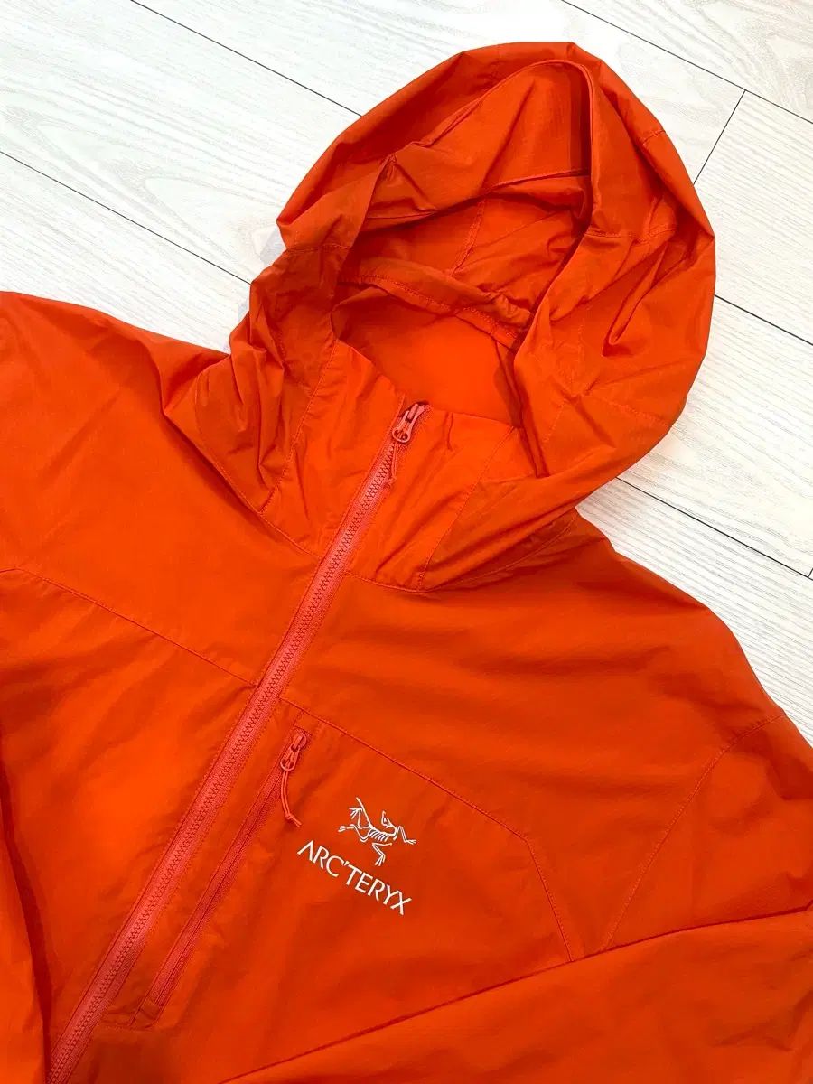 ARC'TERYX アークテリクス スコーミッシュ フーディー フェノム (L)