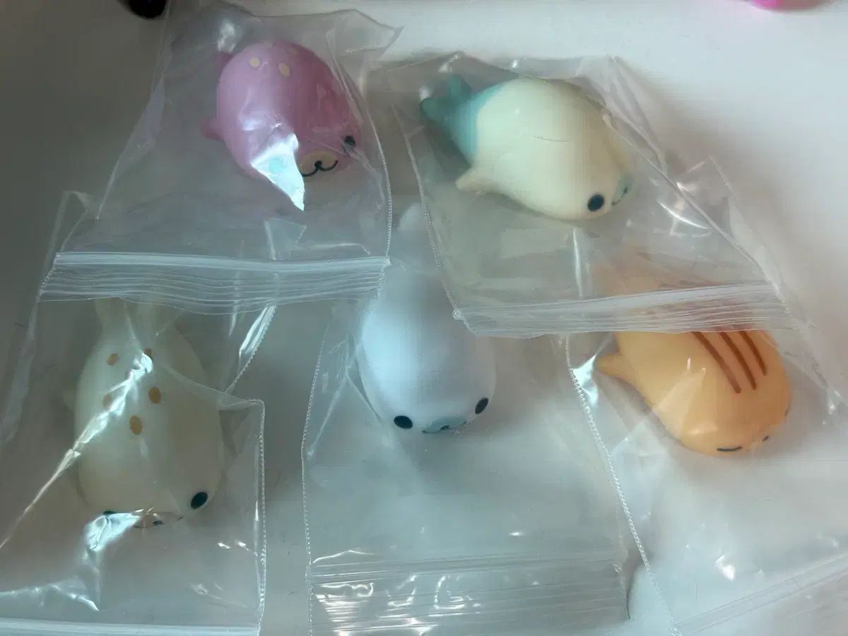 マメゴマ 규뭇토