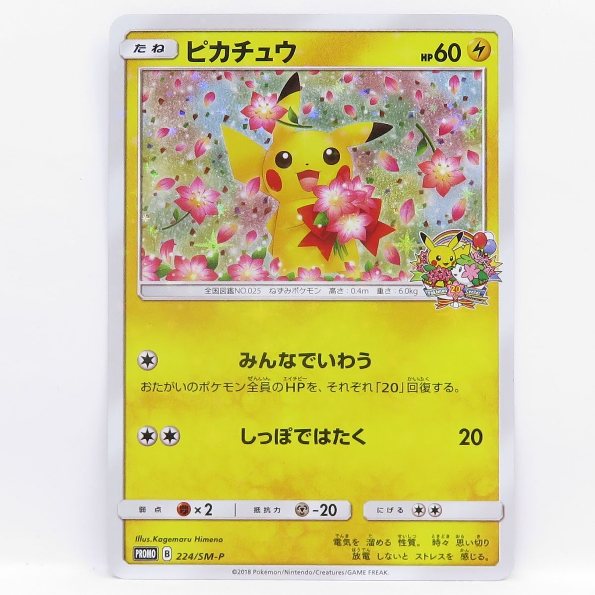 ポケモンカード ピカチュウ 224/SM-P プロモ ※中古