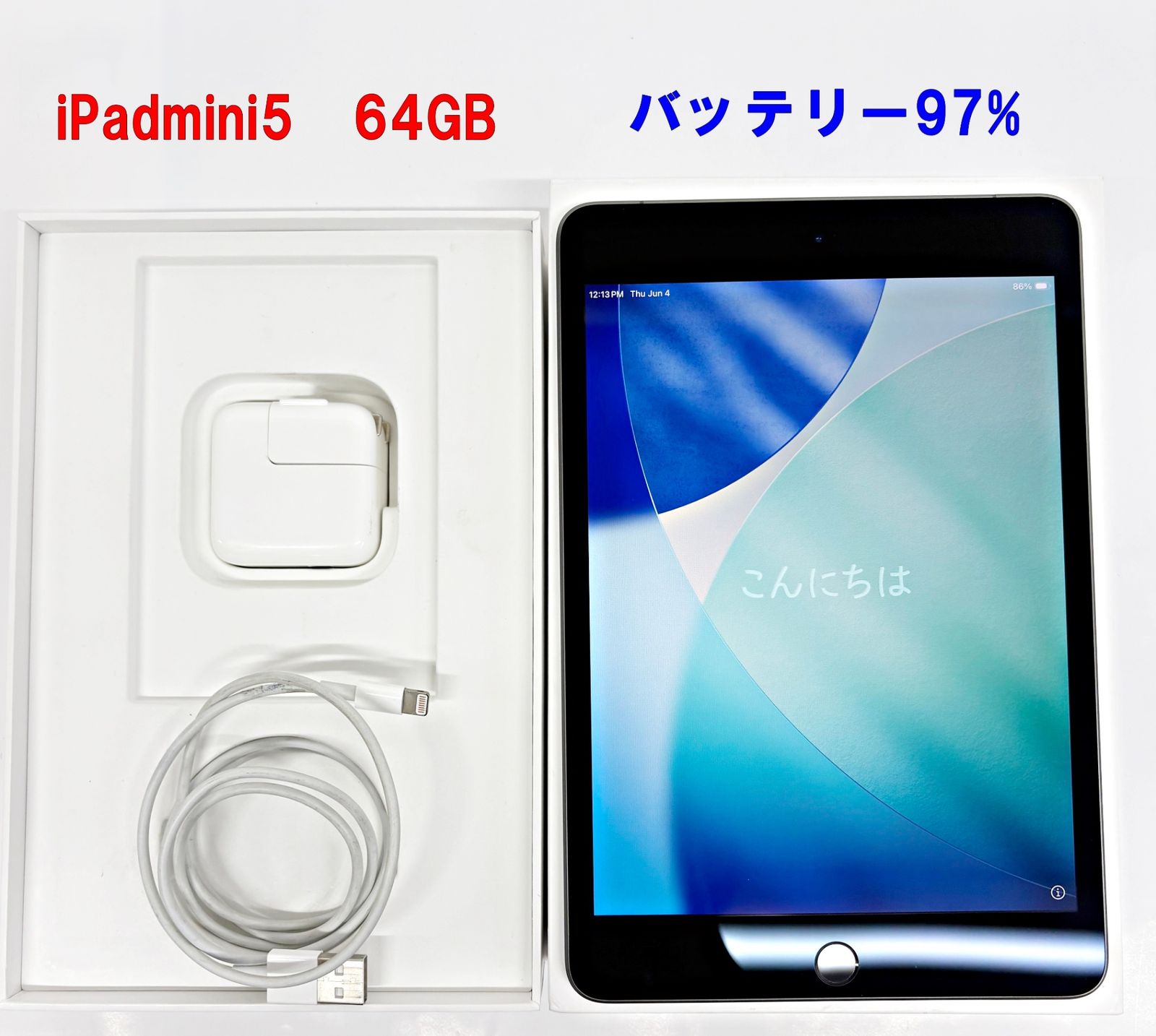 iPad mini5 64GB MUX52J/A バッテリー97% Space Gray Wi-Fi+Cellular