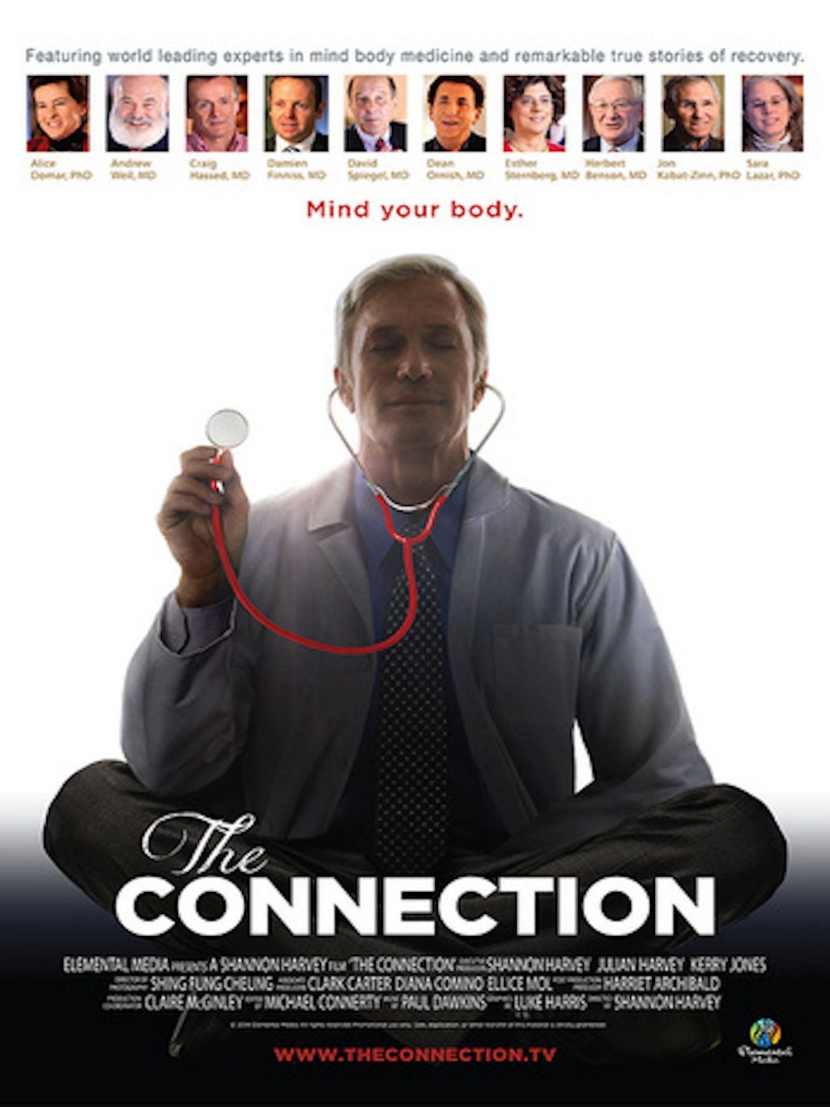 Connection [DVD]