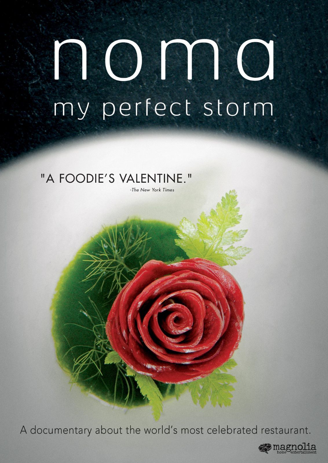 Noma: My Perfect Storm [DVD] [Import]