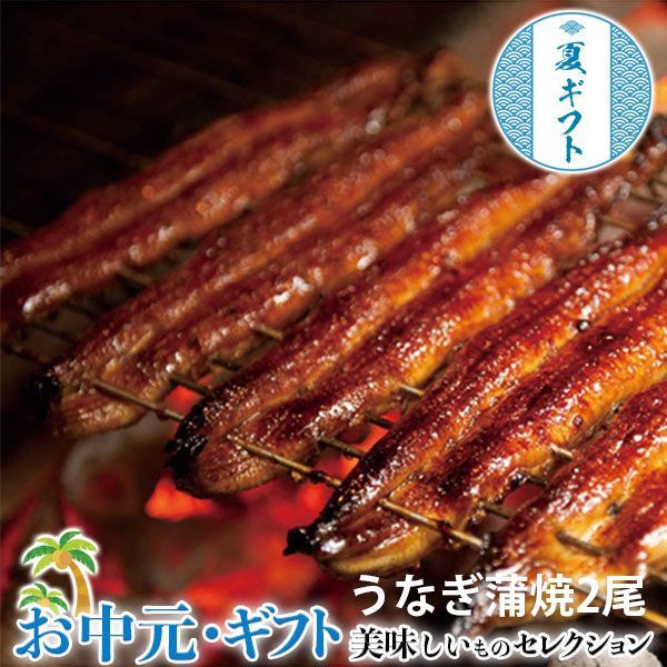 お中元 夏 ギフト プレゼント 鰻楽 九州産うなぎ蒲焼2尾＋蒲焼きざみごぼう入1袋｜長焼2尾(計240g)・蒲焼きざみごぼう入50g×1袋・山椒・たれ各2個｜ お取り寄 せグルメ 食品 贈物 御中元