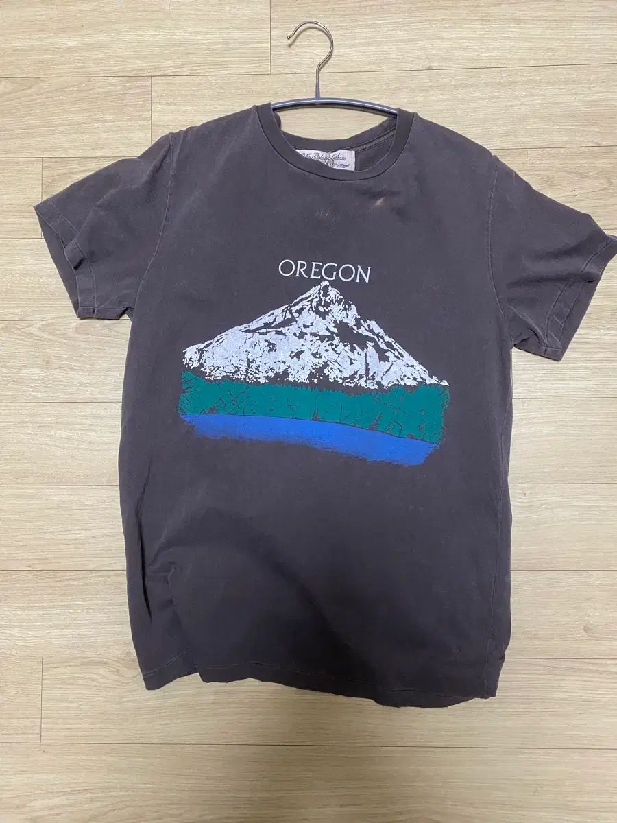 レミレリーフ SP Finish T (OREGON) D BROWN