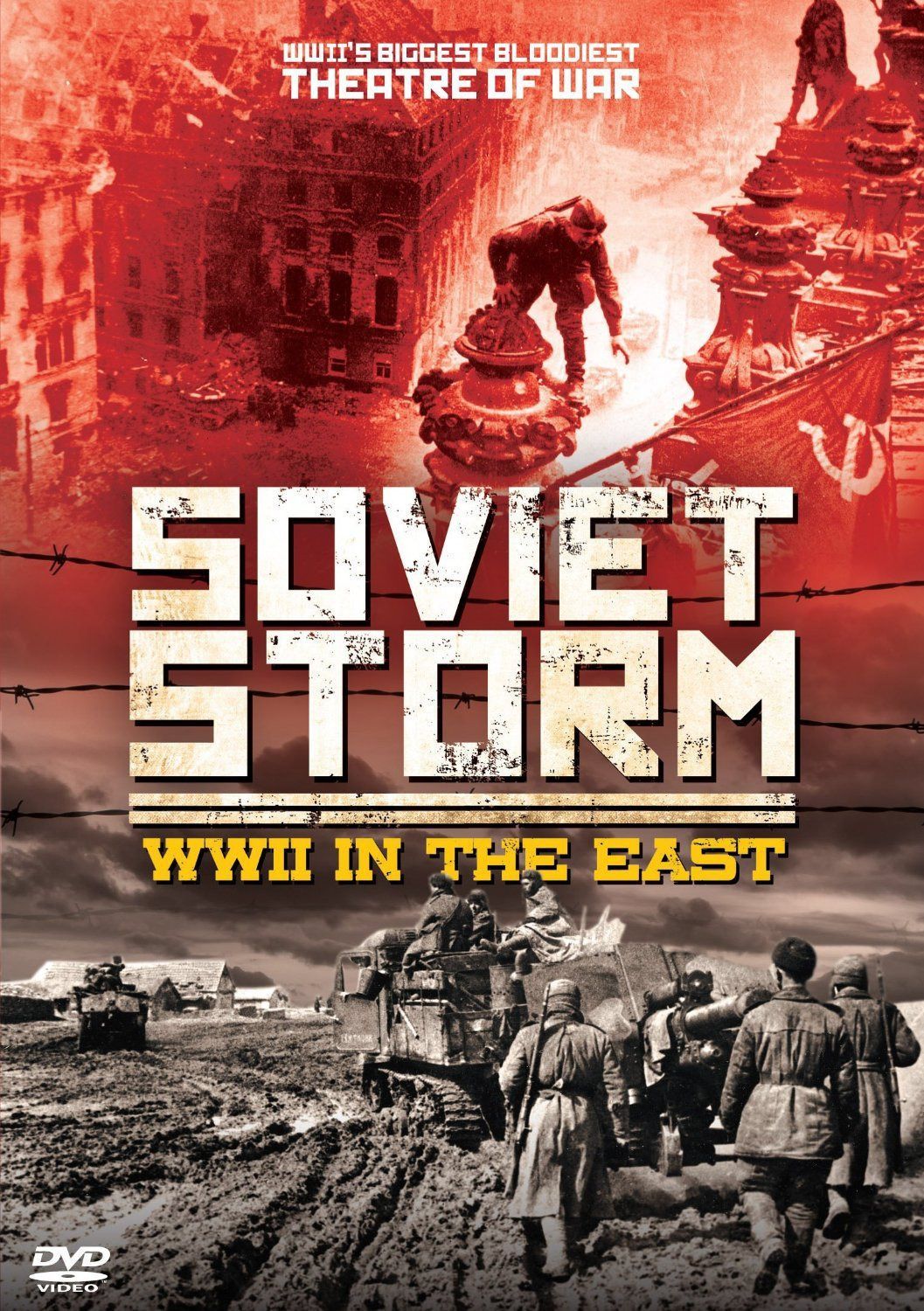 Soviet Storm: WWII In The East [DVD]