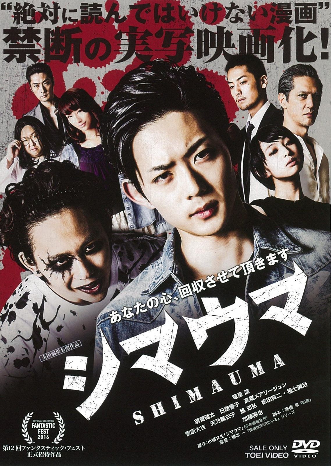 シマウマ [DVD]
