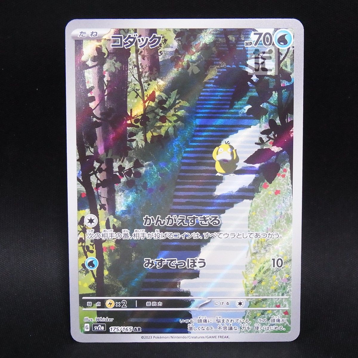 コダックAR7枚 AR コダック SV2a / TA24807 - メルカリ