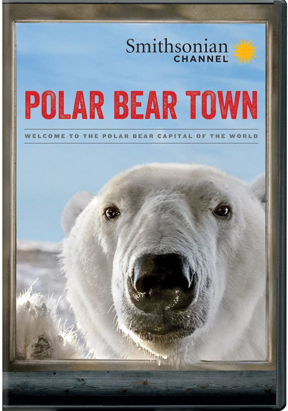 Smithsonian: Polar Bear Town Season 1 [DVD] [Import]