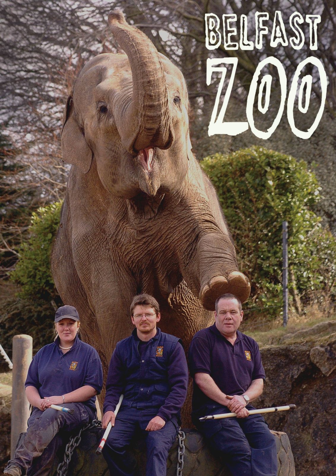 Belfast Zoo [DVD] 20,941円