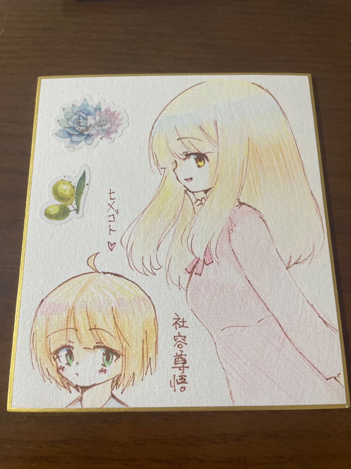 手描きイラスト31 ヒメゴト