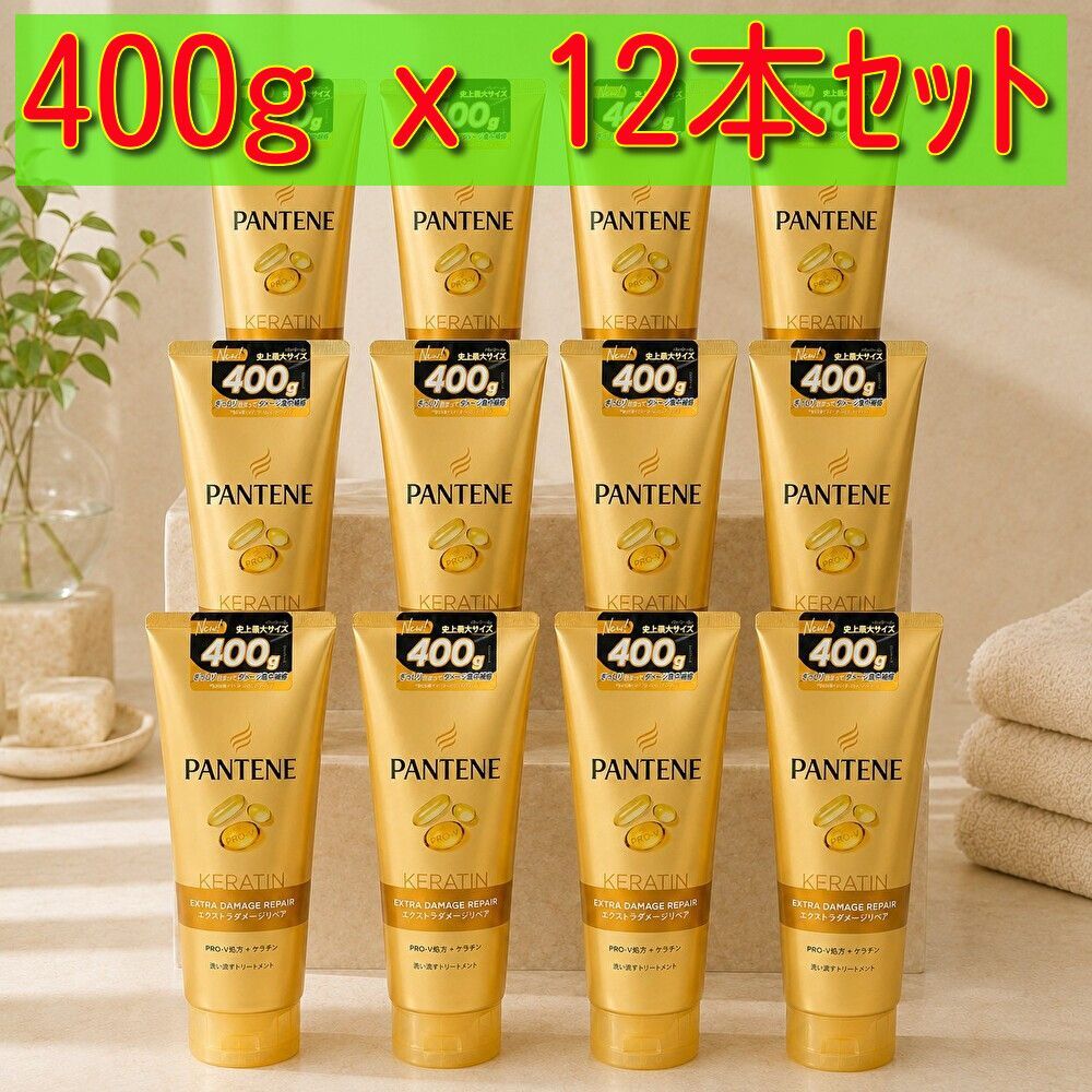 12個セット パンテーン エクストラダメージリペア トリートメント 400gx12個セット