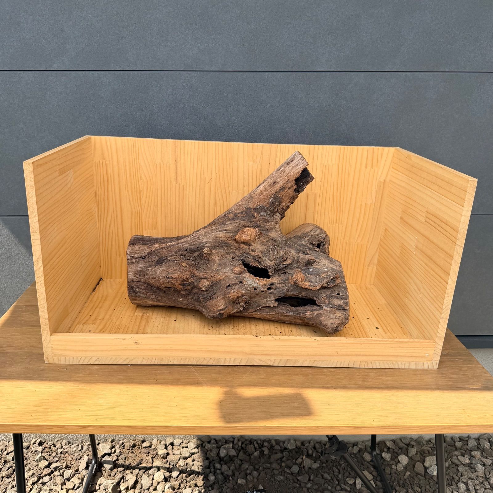 セレクト流木(現物発送)061103 セレクト流木(現物発送)061103