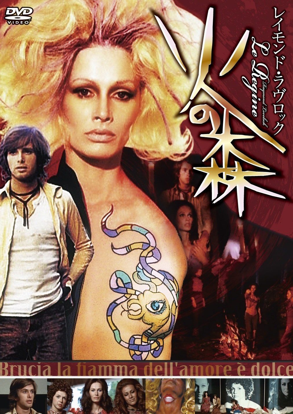 火の森 [DVD]