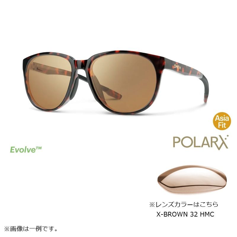 シーカー POLARX Seeker Tortoise X-Brown 32 Hard & Multi-Coat 21,904円