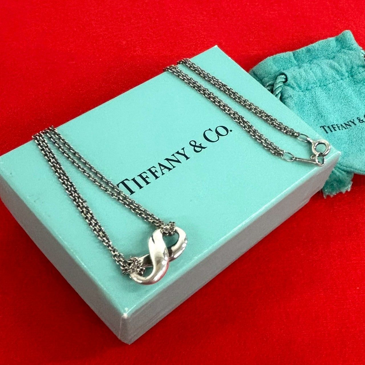 【極美品】TIFFANY ネックレス ダブルプレート 激レア品 希少 925 極 美品 TIFFANY&Co. ティファニー インフィニティ ダブルチェーン