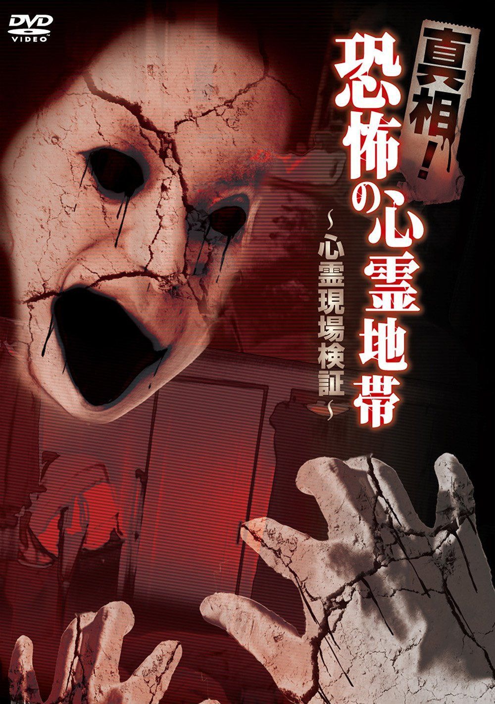真相!恐怖の心霊地帯 ~心霊現場検証~ [DVD]