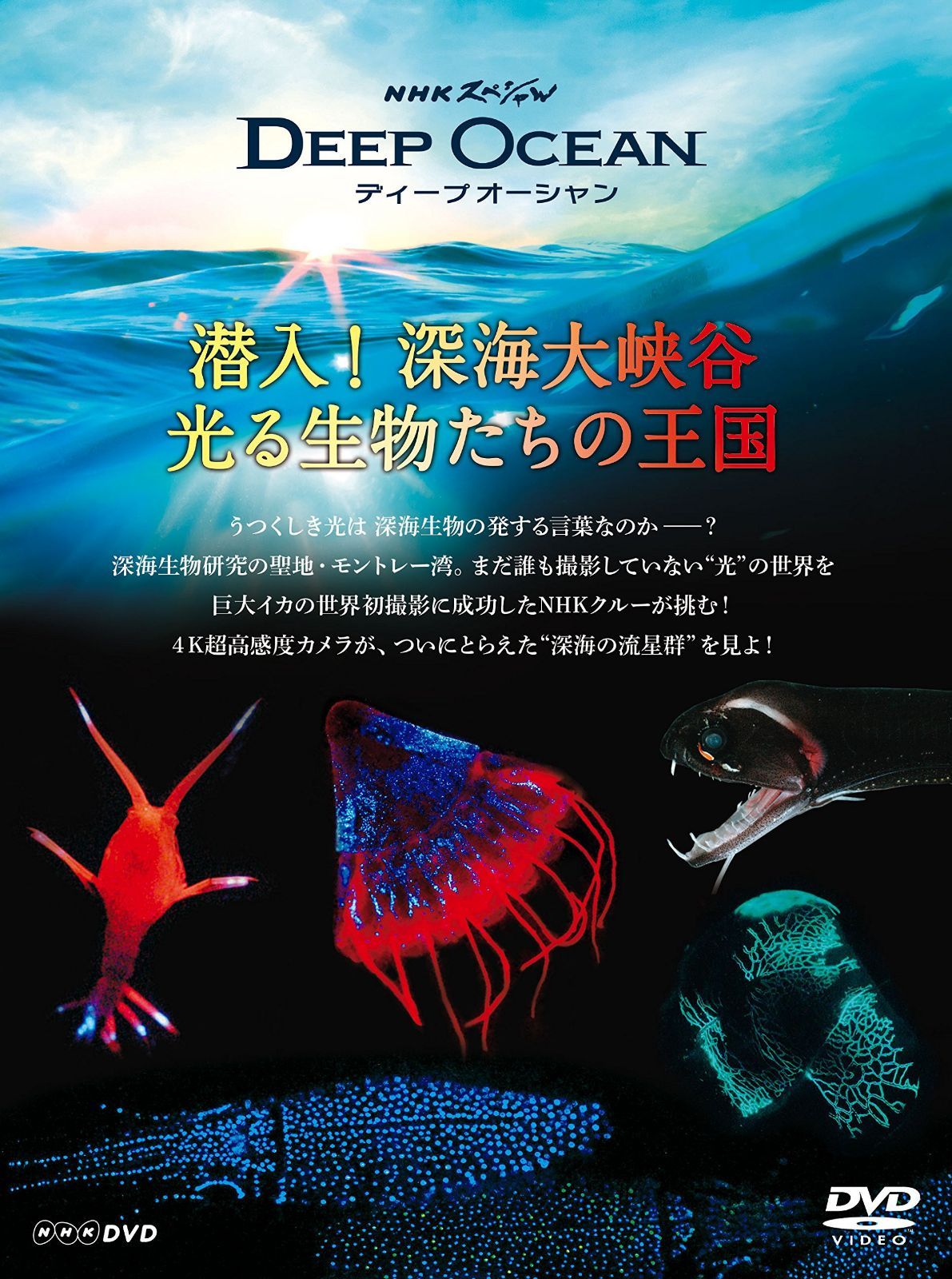 NHKスペシャル ディープ オーシャン 潜入! 深海大峡谷 光る生物たちの王国 [DVD]