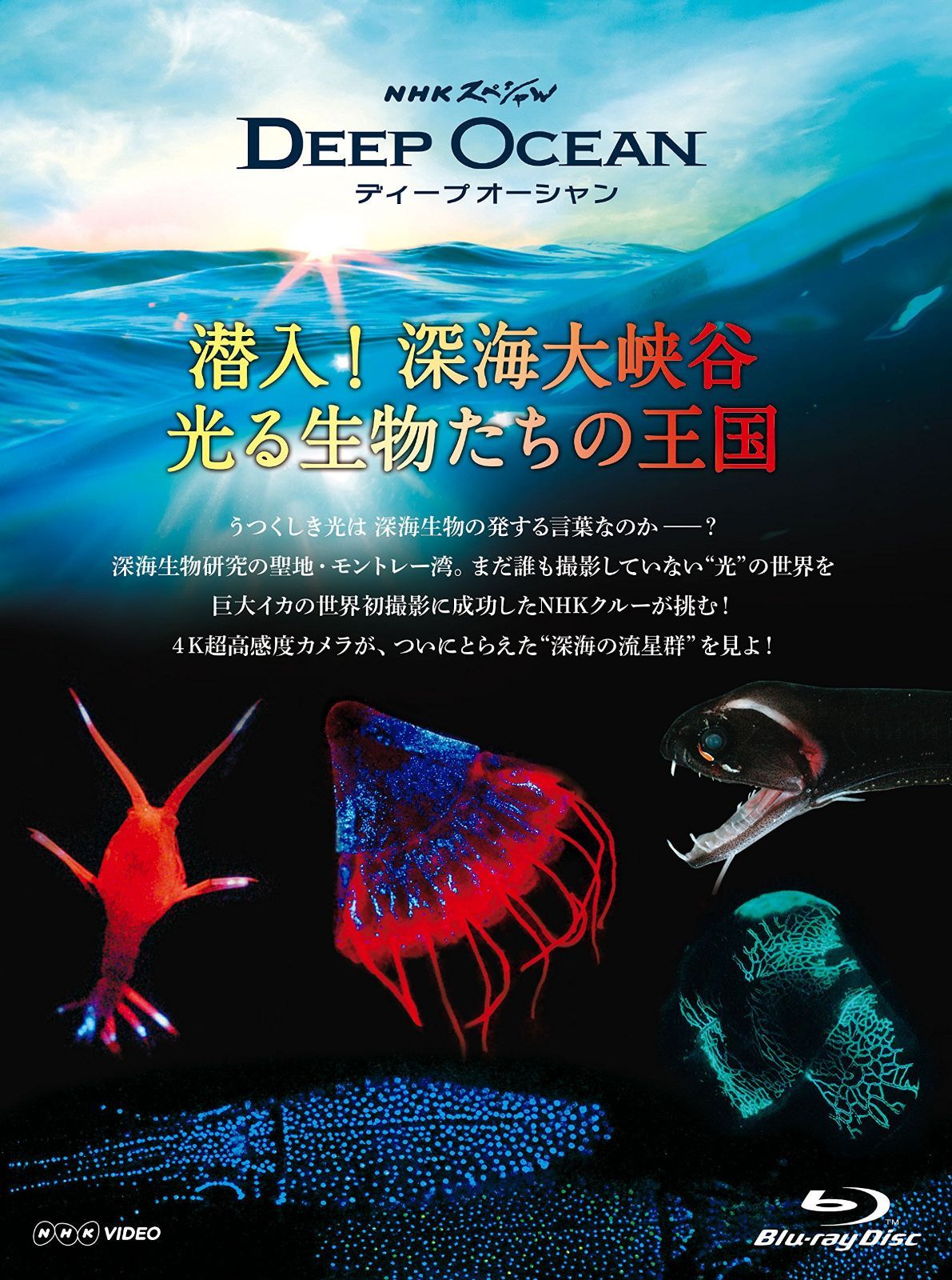 NHKスペシャル ディープ オーシャン 潜入! 深海大峡谷 光る生物たちの王国 [Blu-ray]