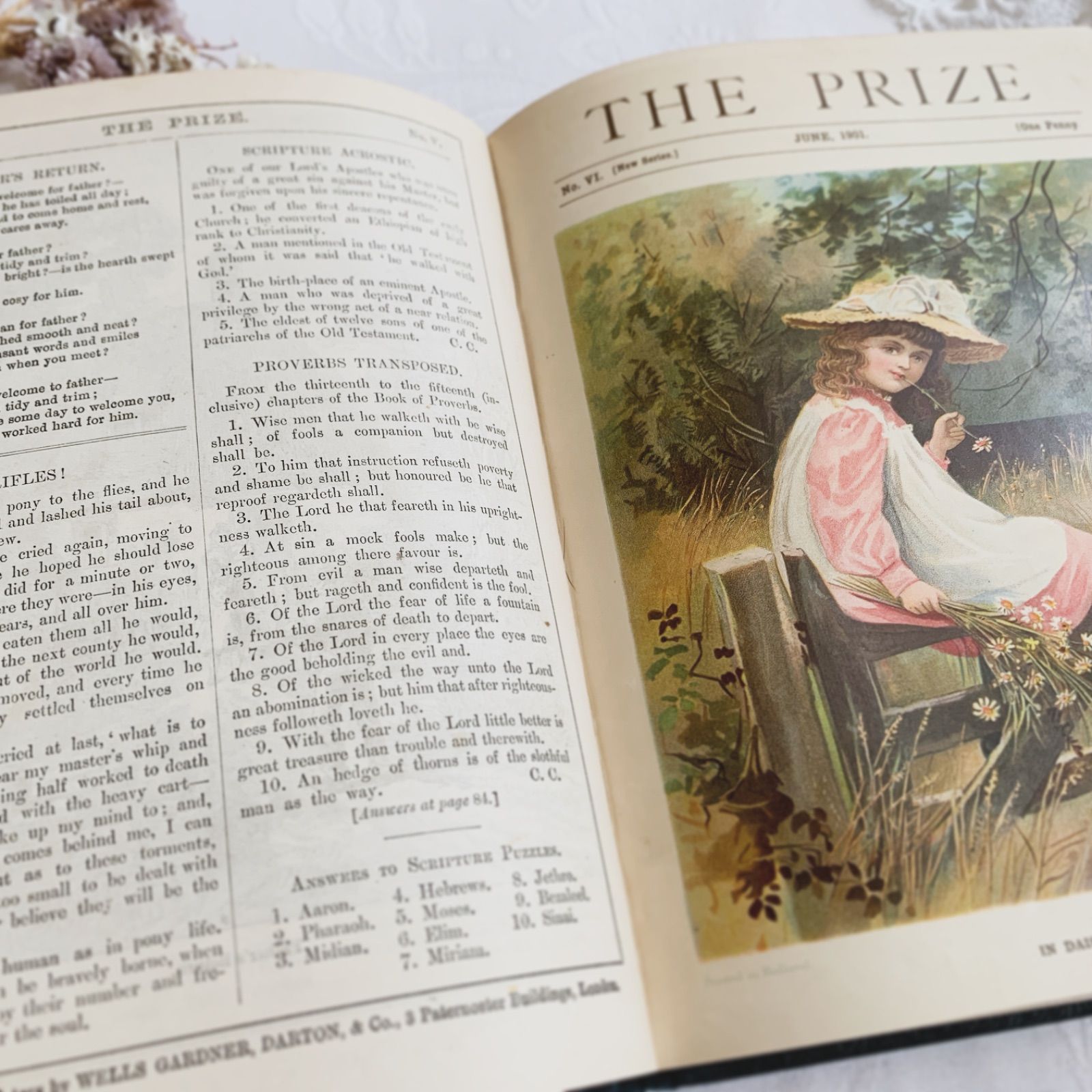 1901-1902年 英国アンティーク児童書-美しいカラー&モノクロ挿絵を眺める- THE PRIZE/クロモリトグラフ/石版画/アンティーク洋書/古書/アンティーク絵本/アンティーク本/洋古書/ビクトリアン/ディスプレイ洋書/額装/ブロカント
