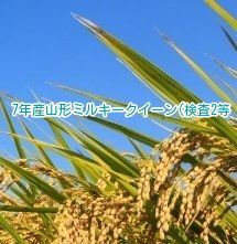7年産山形ミルキークイーン玄米(検査米2等