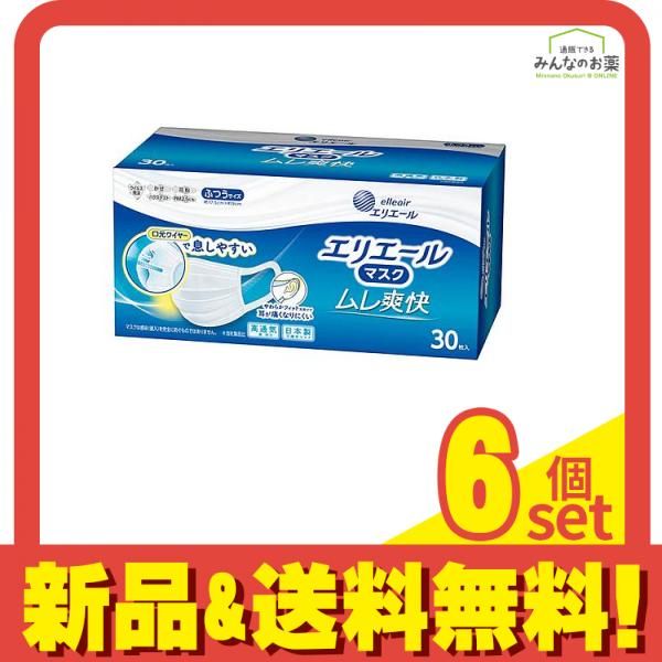 エリエールマスク ムレ爽快 ふつうサイズ 30枚入 6個セット まとめ売り
