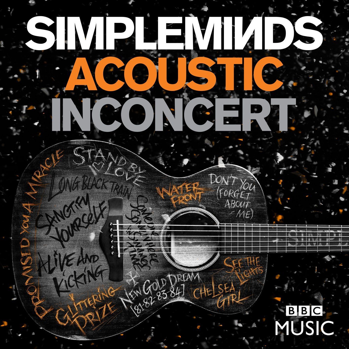 Simple Minds: Acoustic in Concert [DVD]