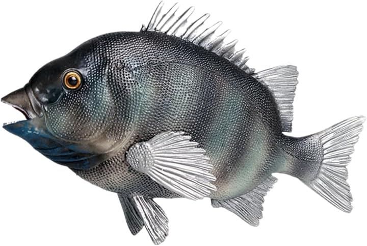 S.T.S.G 鯛 チヌ 魚 黒鯛 置物 置き物 インテリア オブジェ フィギュア