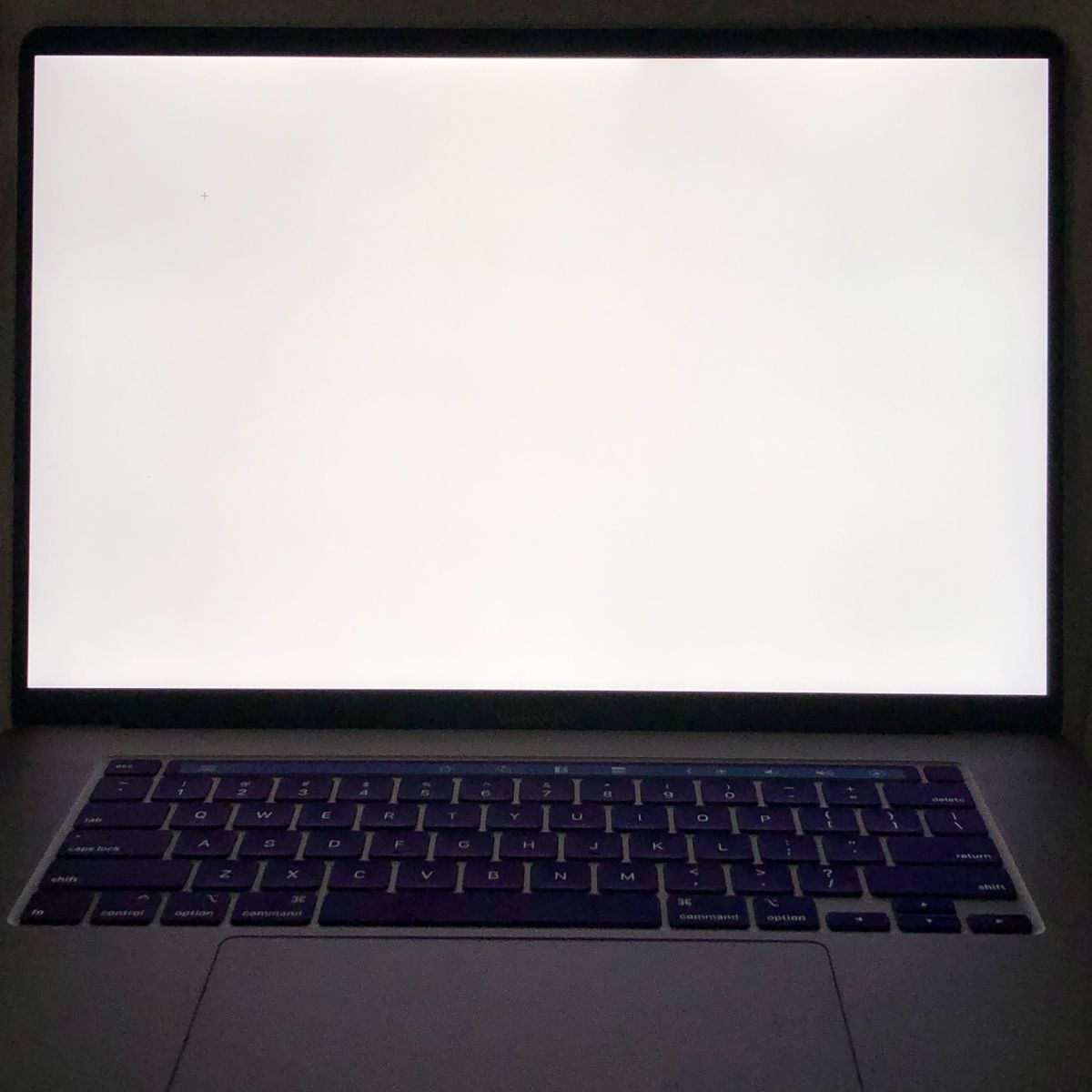 ジャンク MacBook Pro 16