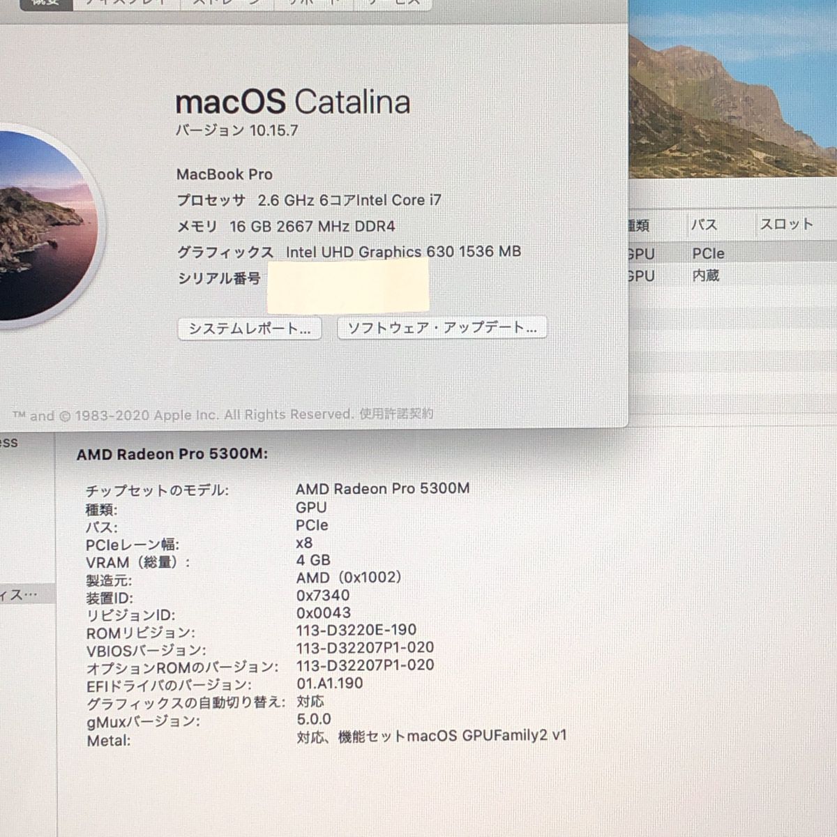 ジャンク MacBook Pro 16