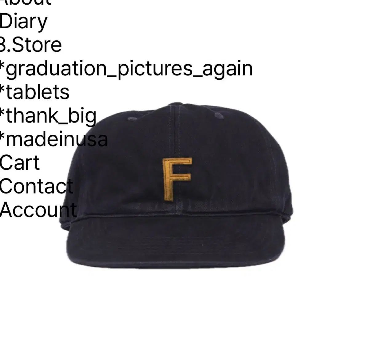 L テフSTORE field 帽子 (cationic black)